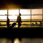 Traveler di bandara membawa koper saat perjalanan